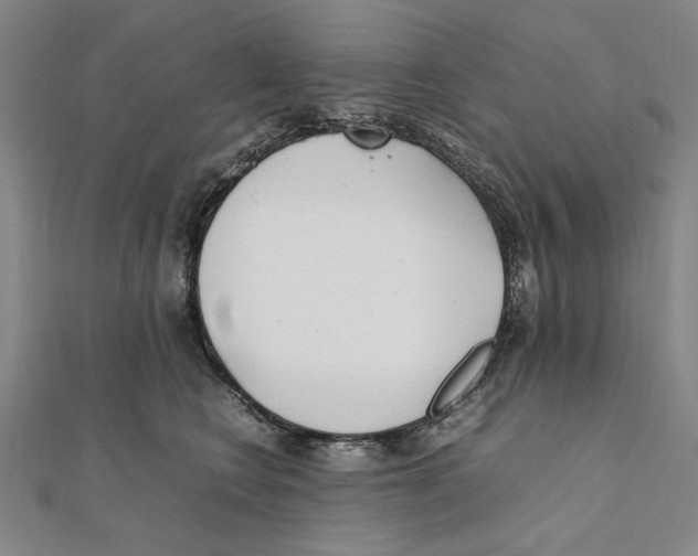 X0000111490566200908111226