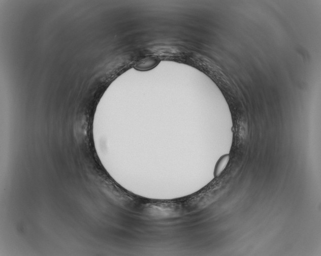 X0000111490567200908111226