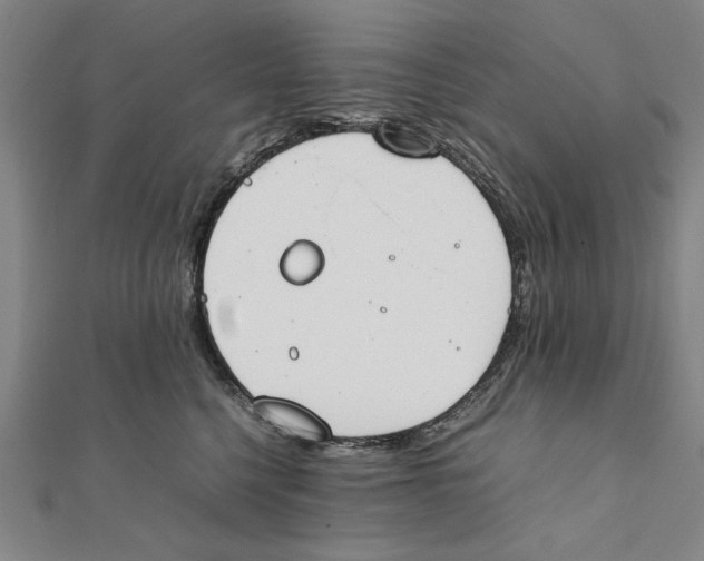 X0000111490568200908111226