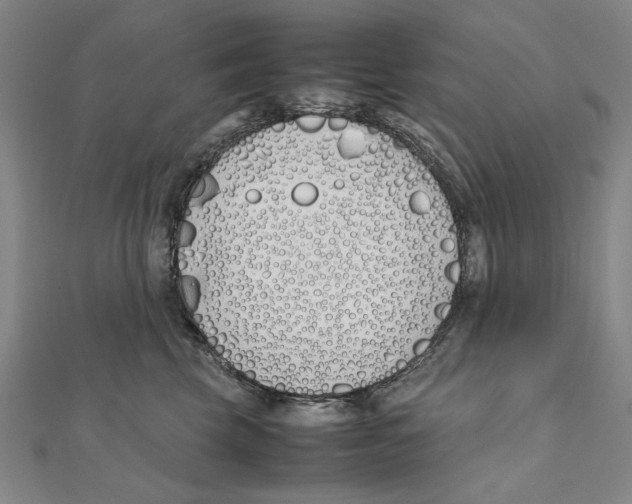X0000111490569200908111226