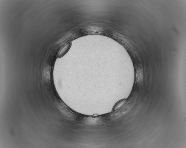 X0000111490570200908111226