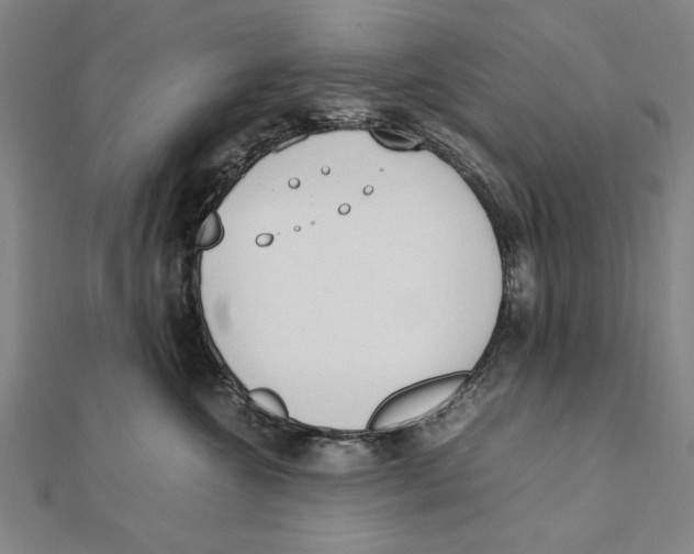 X0000111490572200908111226