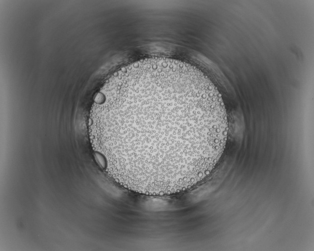 X0000111490573200908111226