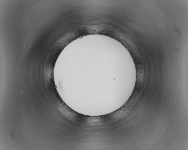 X0000111490574200908111226