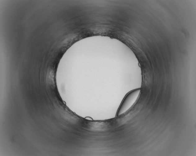 X0000111490575200908111226