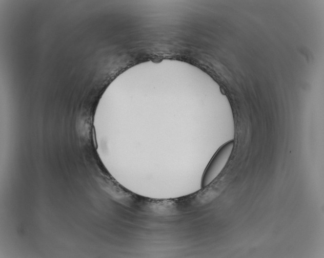 X0000111490576200908111226