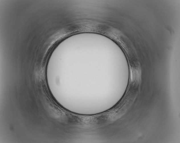 X0000111490579200908111226