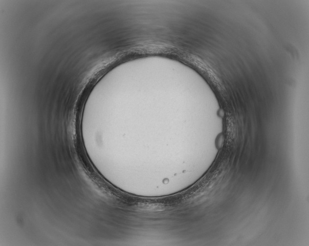 X0000111490582200908111226