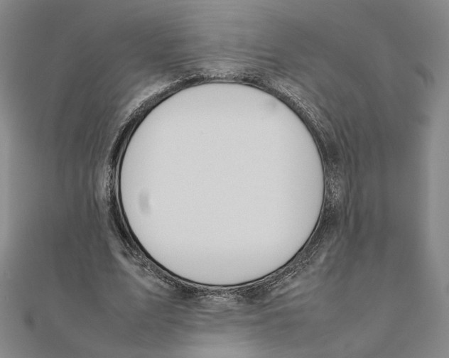 X0000111490583200908111226