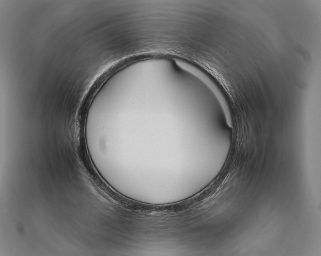 X0000111490584200908111226