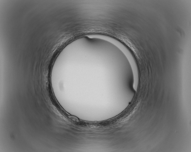 X0000111490585200908111226