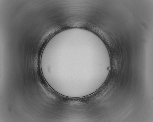 X0000111490586200908111226