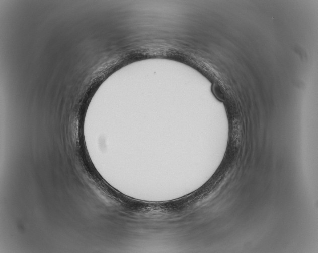 X0000111490589200908111226