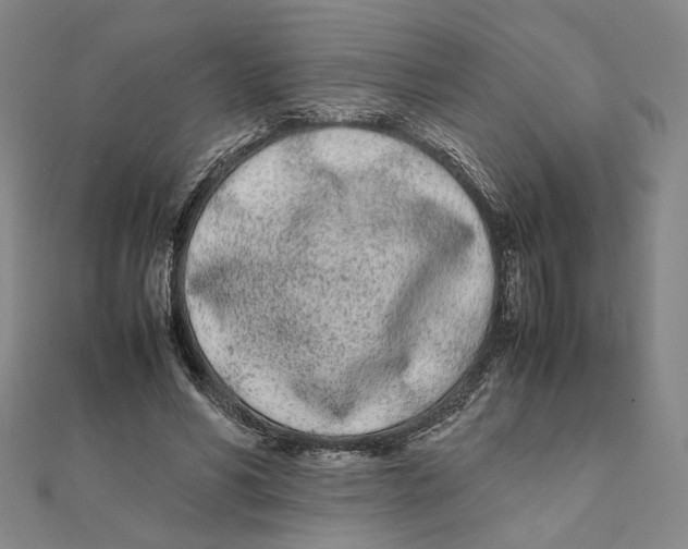 X0000111490590200908111226