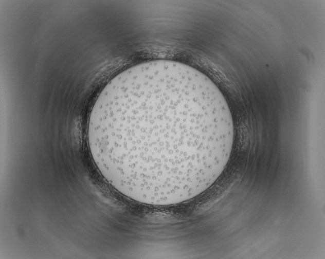 X0000111490594200908111225