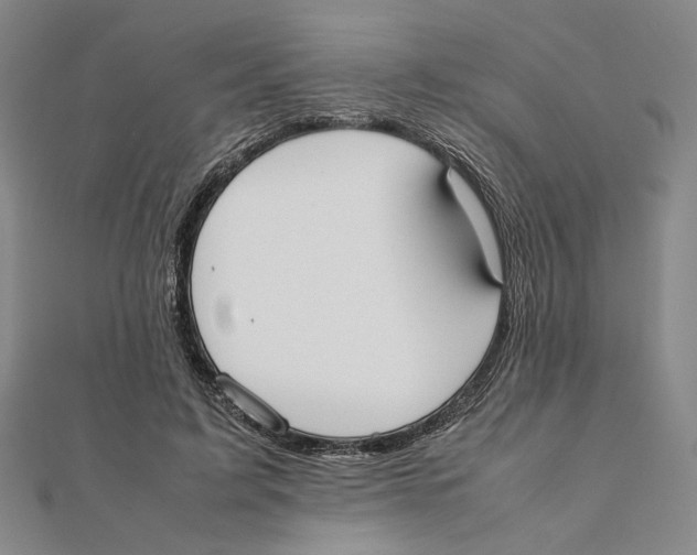 X0000111490595200908111225