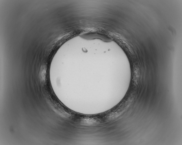 X0000111490596200908111225