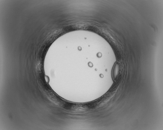 X0000111490597200908111225