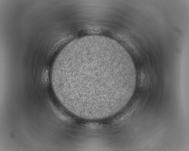 X0000111490598200908111225