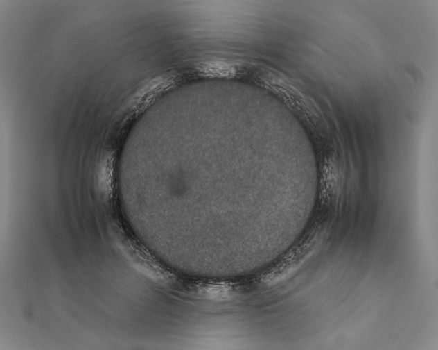 X0000111490600200908111225
