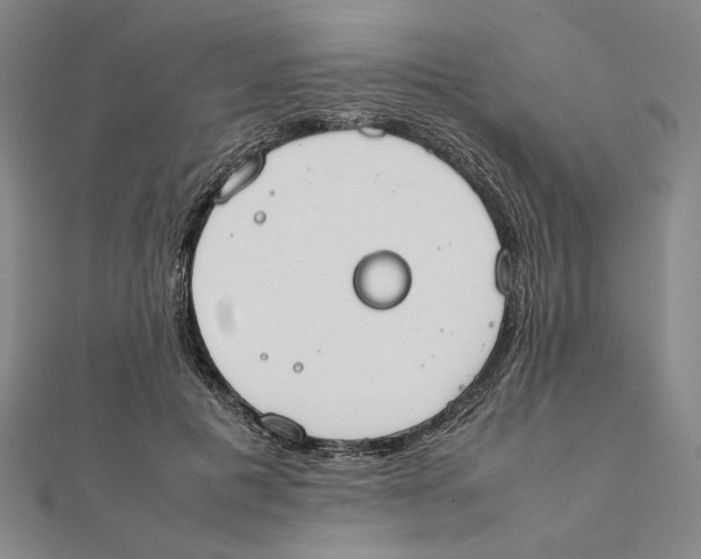 X0000111490601200908111225