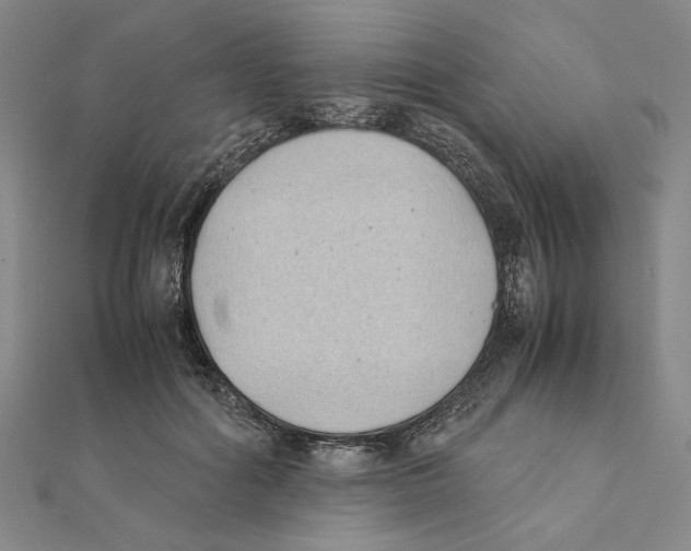 X0000111490602200908111225