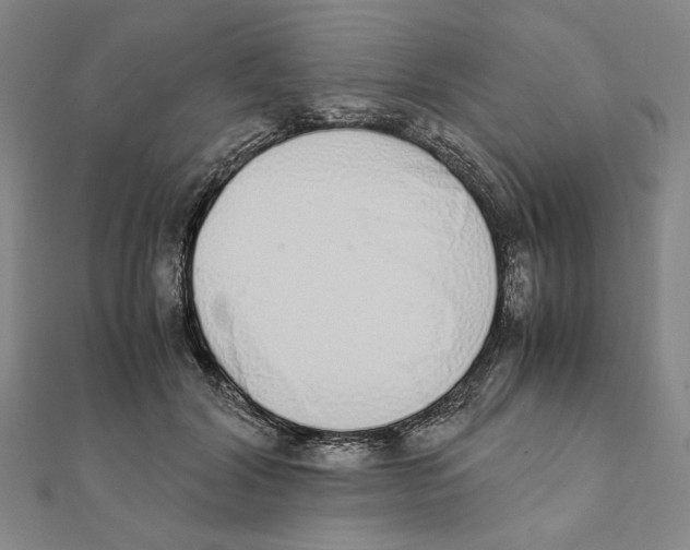 X0000111490604200908111225