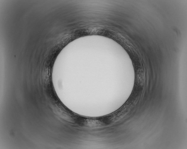 X0000111490605200908111225