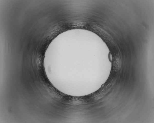 X0000111490608200908111225