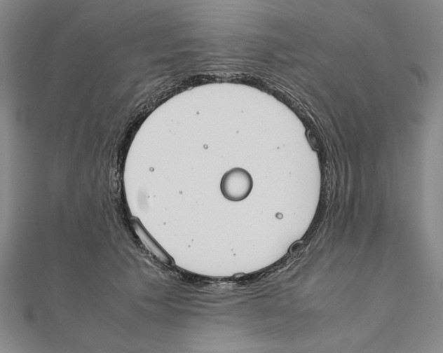 X0000111490609200908111225