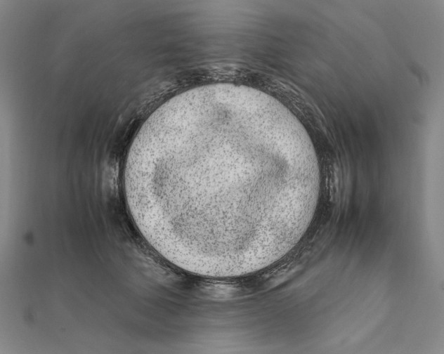 X0000111490610200908111225