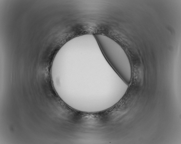 X0000111490611200908111225
