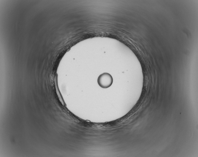 X0000111490613200908111225