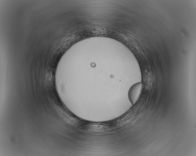 X0000111490614200908111225