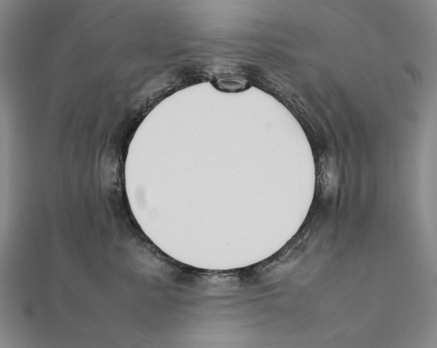 X0000111490619200908111225