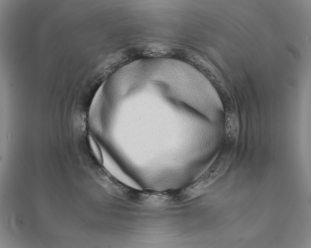 X0000111490621200908111225