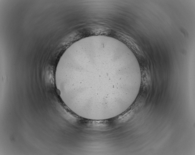 X0000111490622200908111225