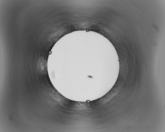 X0000111490624200908111225