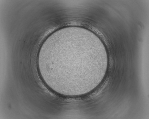X0000111490625200908111224