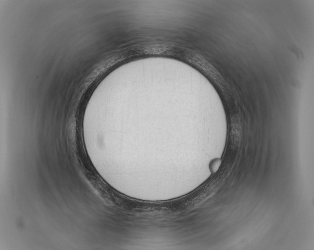 X0000111490626200908111224