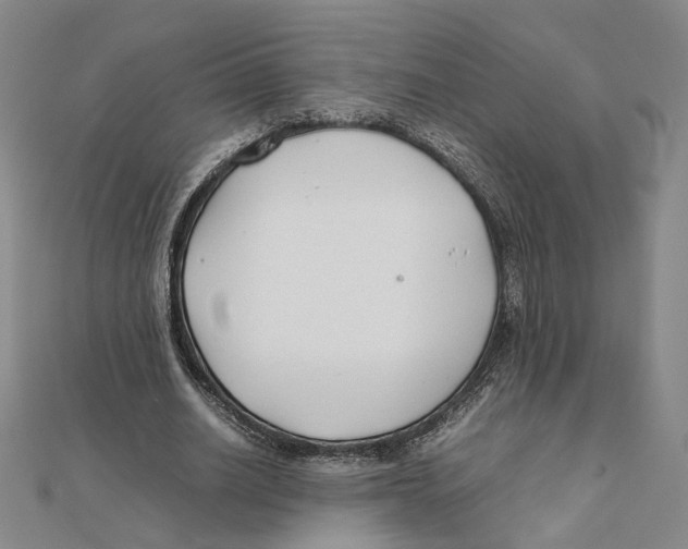X0000111490630200908111224