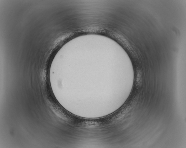 X0000111490636200908111224