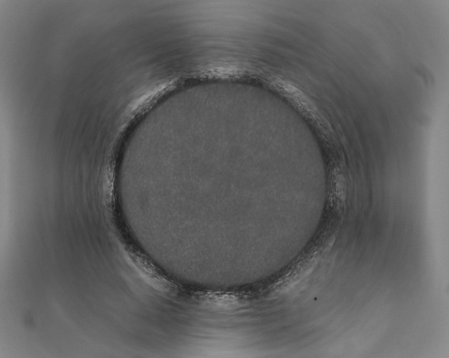 X0000111490640200908111224