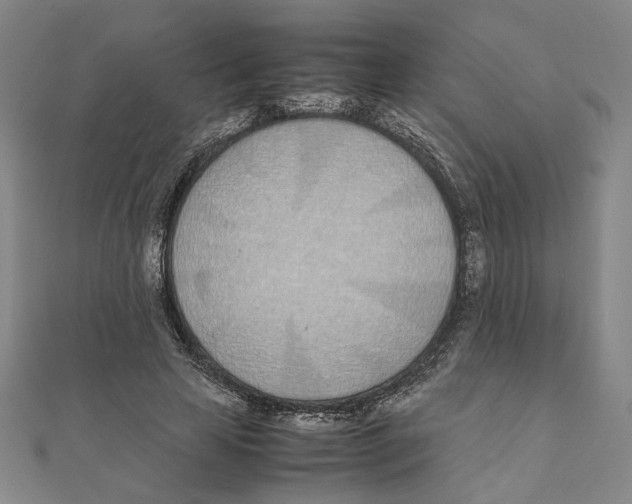 X0000111490641200908111225