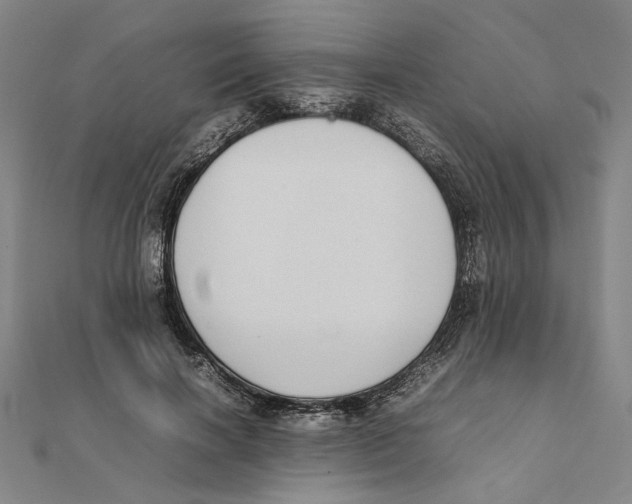 X0000111490646200908111225