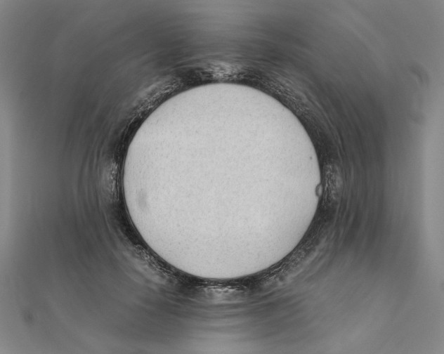 X0000111490650200908111225