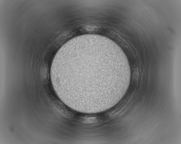 X0000111490651200908111225