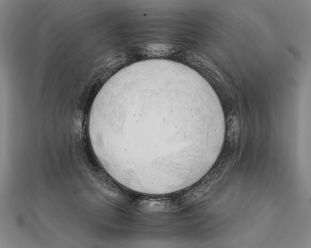 X0000111490655200908111225