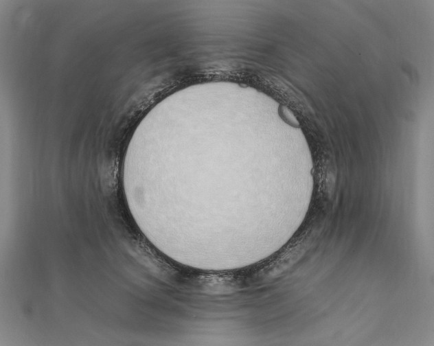 X0000111490660200908111225