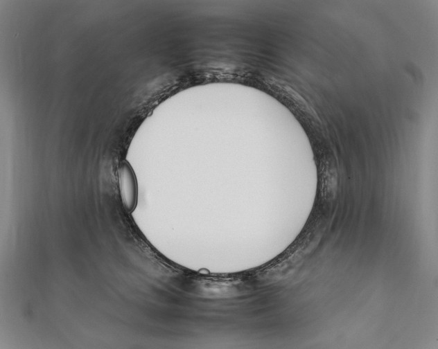 X0000111490661200908111225